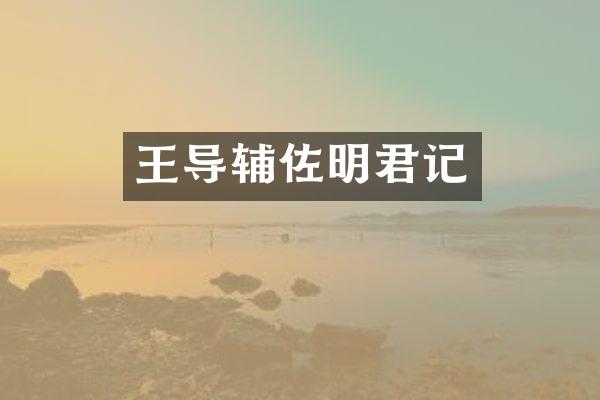 王导辅佐明君记