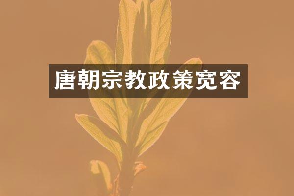 唐朝宗教政策宽容