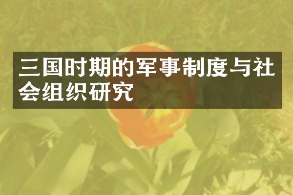 三国时期的军事制度与社会组织研究