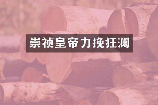 崇祯皇帝力挽狂澜