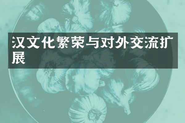 汉文化繁荣与对外交流扩展