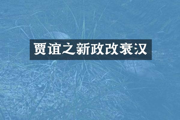 贾谊之新政改衰汉