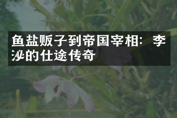 鱼盐贩子到帝国宰相：李泌的仕途传奇