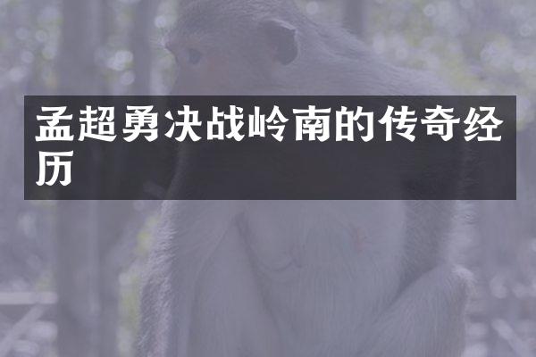孟超勇决战岭南的传奇经历