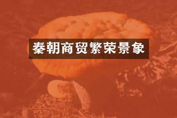 秦朝商贸繁荣景象