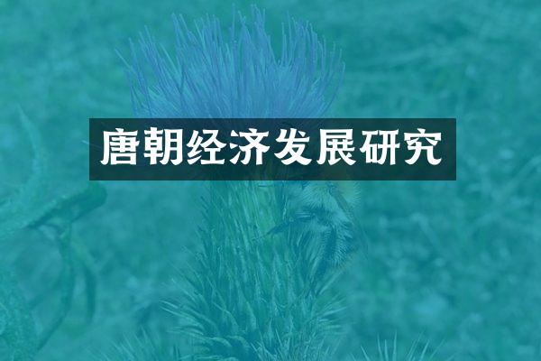 唐朝经济发展研究