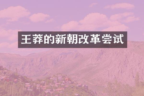 王莽的新朝改革尝试