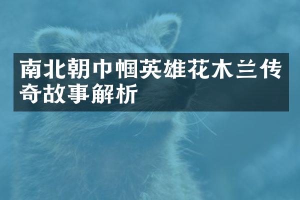 南北朝巾帼英雄花木兰传奇故事解析