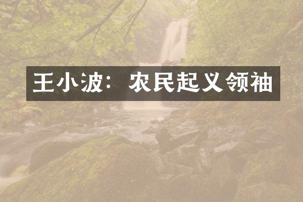 王小波：农民起义