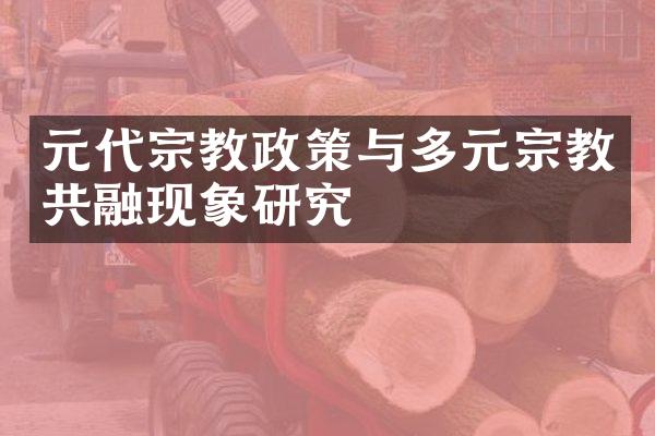 元代宗教政策与多元宗教共融现象研究