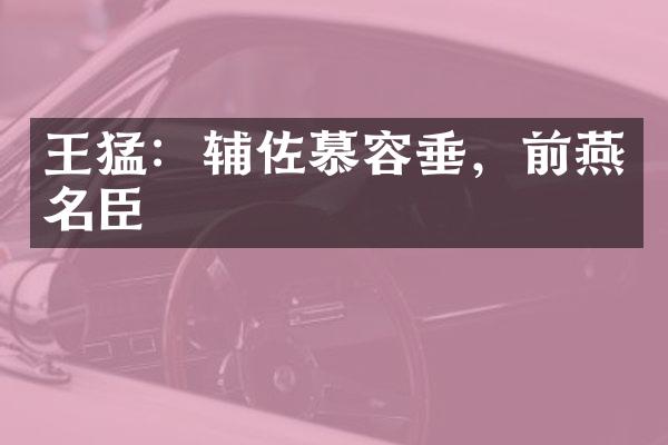 王猛：辅佐慕容垂，前燕名臣