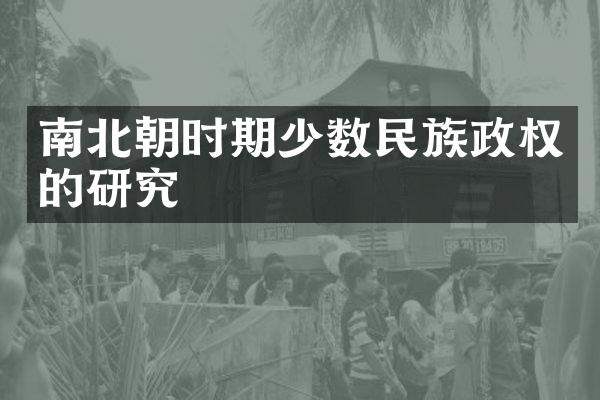 南北朝时期少数民族政权的研究