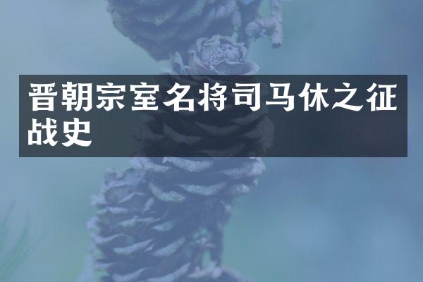 晋朝宗室名将司马休之征战史