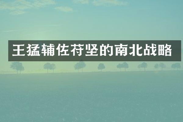 王猛辅佐苻坚的南北战略