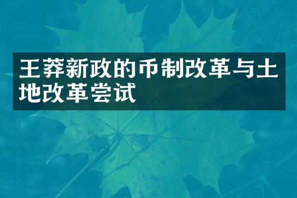 王莽新政的币制改革与土地改革尝试