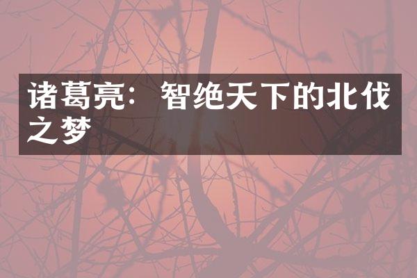 诸葛亮：智绝天下的北伐之梦