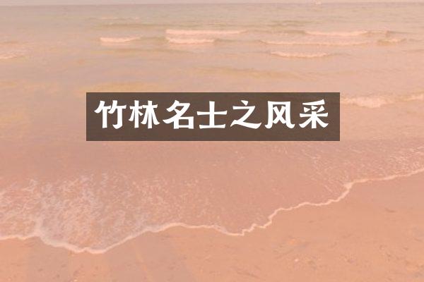 竹林名士之风采
