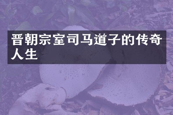 晋朝宗室司马道子的传奇人生