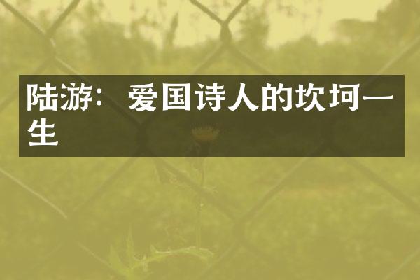 陆游：爱国诗人的坎坷一生