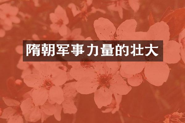 隋朝军事力量的壮大