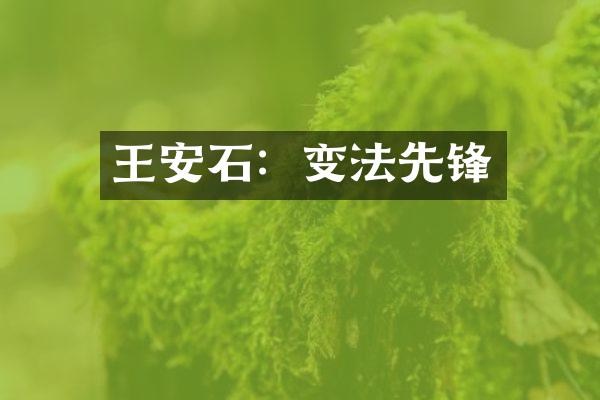 王安石：变法先锋