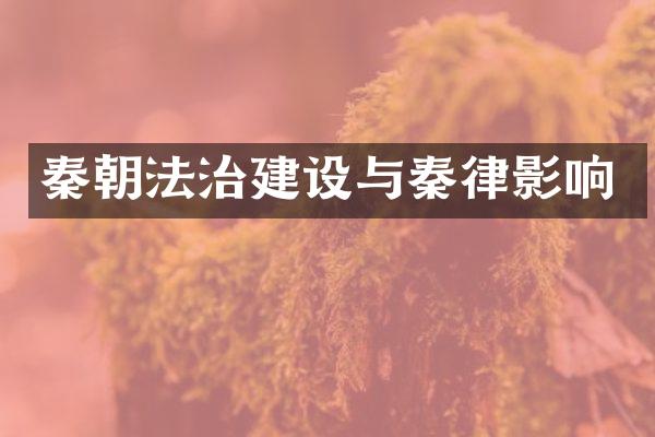 秦朝法治建设与秦律影响