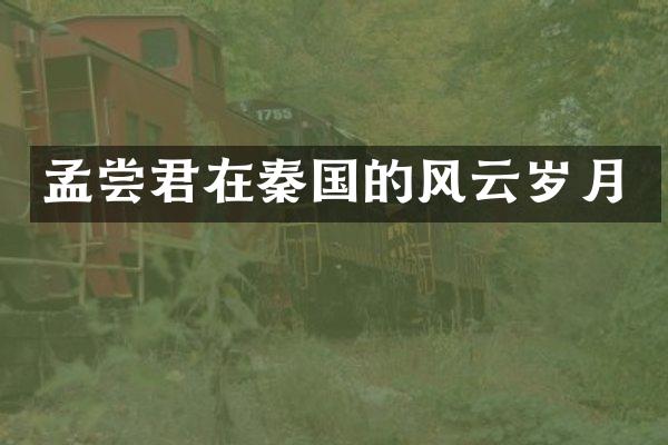 孟尝君在秦国的风云岁月