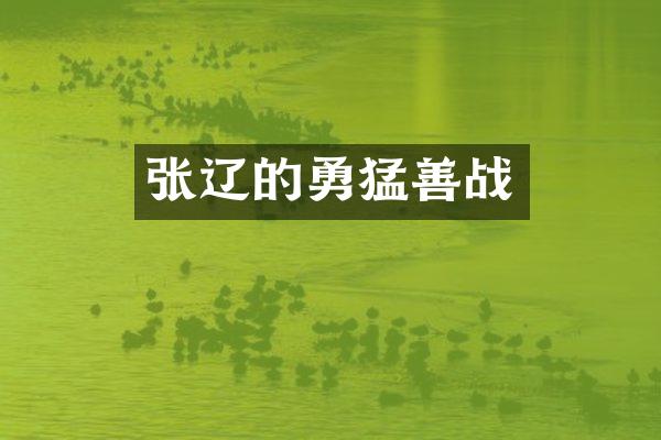张辽的勇猛善战
