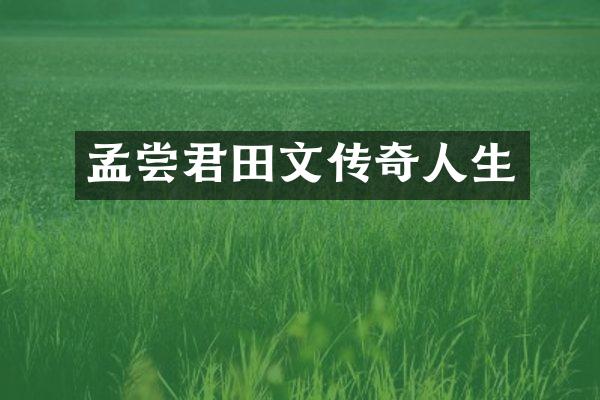 孟尝君田文传奇人生