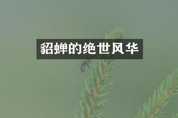 貂蝉的绝世风华