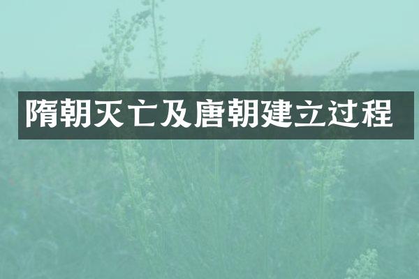 隋朝灭亡及唐朝建立过程