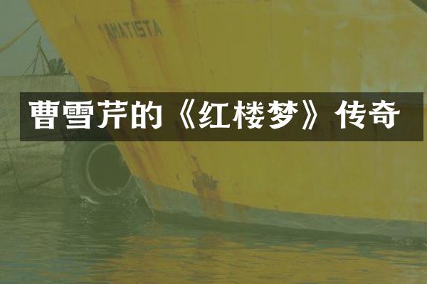 曹雪芹的《红楼梦》传奇