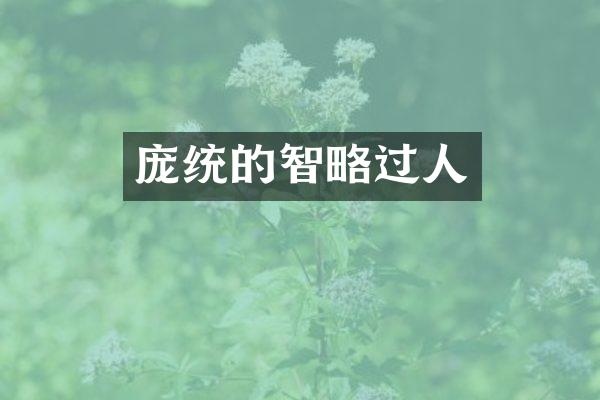 庞统的智略过人