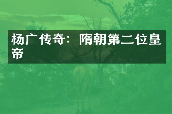 杨广传奇：隋朝第二位皇帝