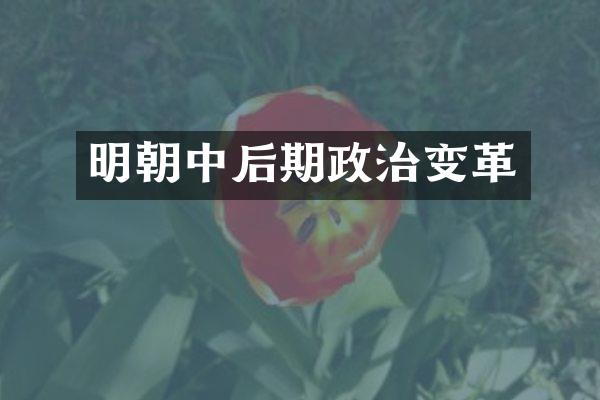 明朝中后期政治变革