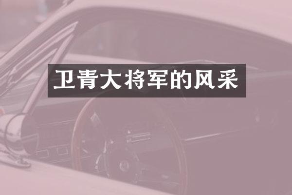 卫青大将军的风采