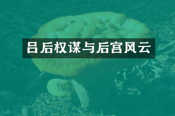 吕后权谋与后宫风云