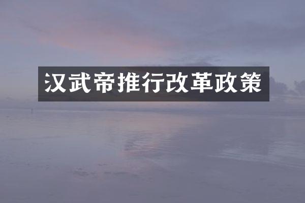 汉武帝推行改革政策