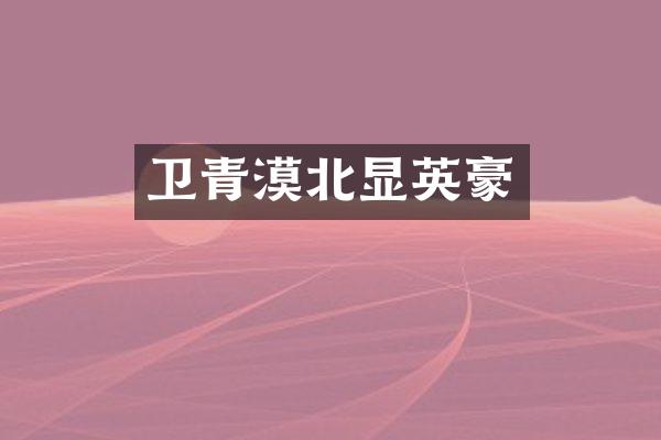卫青漠北显英豪