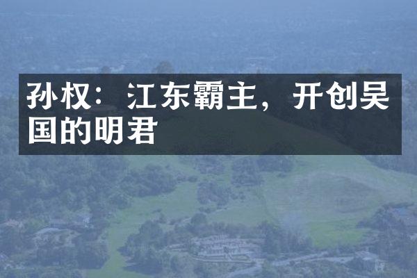 孙权：江东霸主，开创吴国的明君