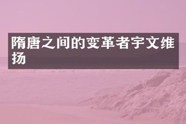 隋唐之间的变革者宇文维扬
