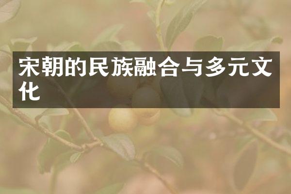 宋朝的民族融合与多元文化