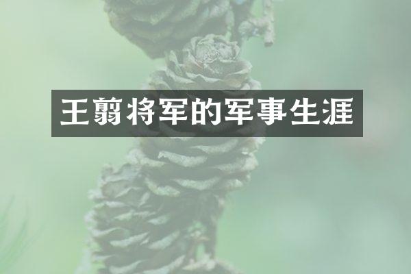 王翦将军的军事生涯