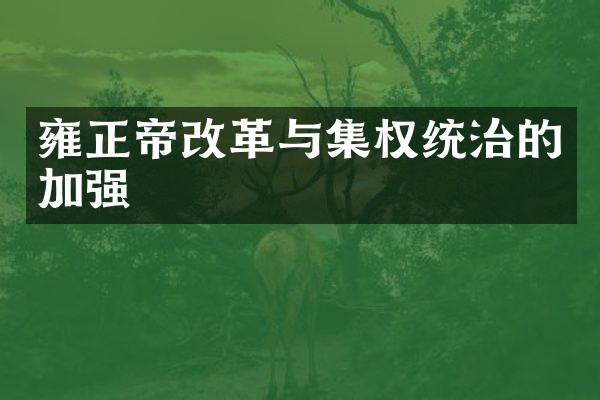 雍正帝改革与集权统治的加强