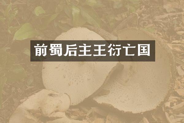 前蜀后主王衍亡国