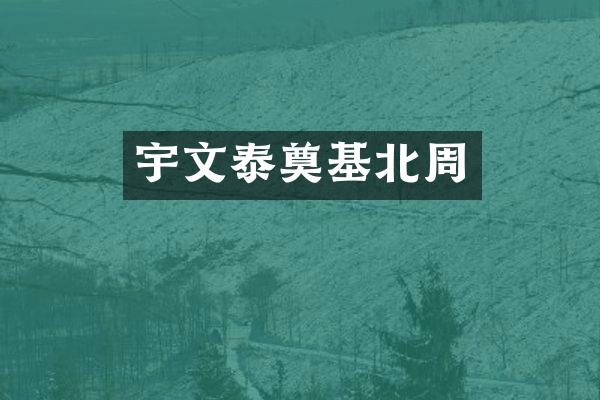 宇文泰奠基北周