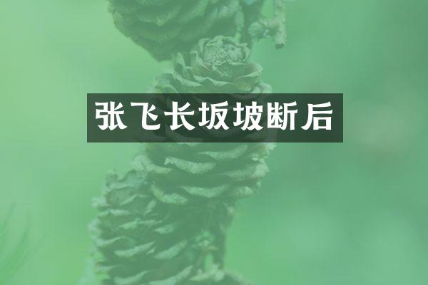 张飞长坂坡断后