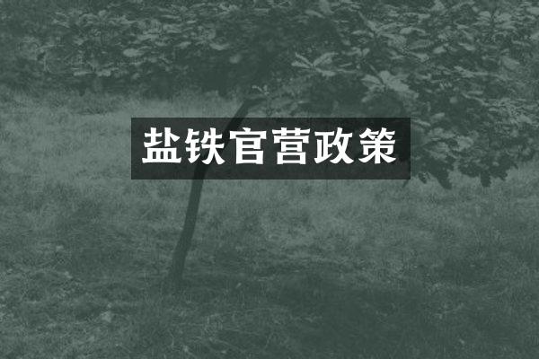 盐铁官营政策
