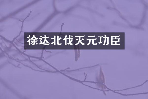 徐达北伐灭元功臣