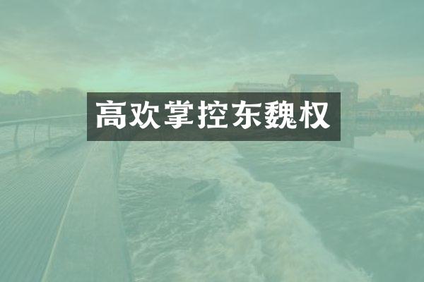 高欢掌控东魏权